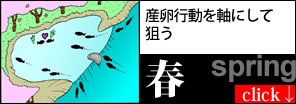 産卵行動を軸にして狙う[春]