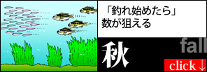 「釣れ始めたら」数が狙える[秋]