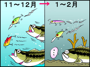 12月下旬から1月にかけては気温が下がり、バスは暖かいところへ、動きも鈍くなる