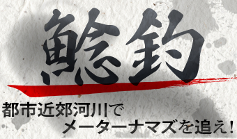 鯰釣　都市近郊河川でメーターナマズを追え！