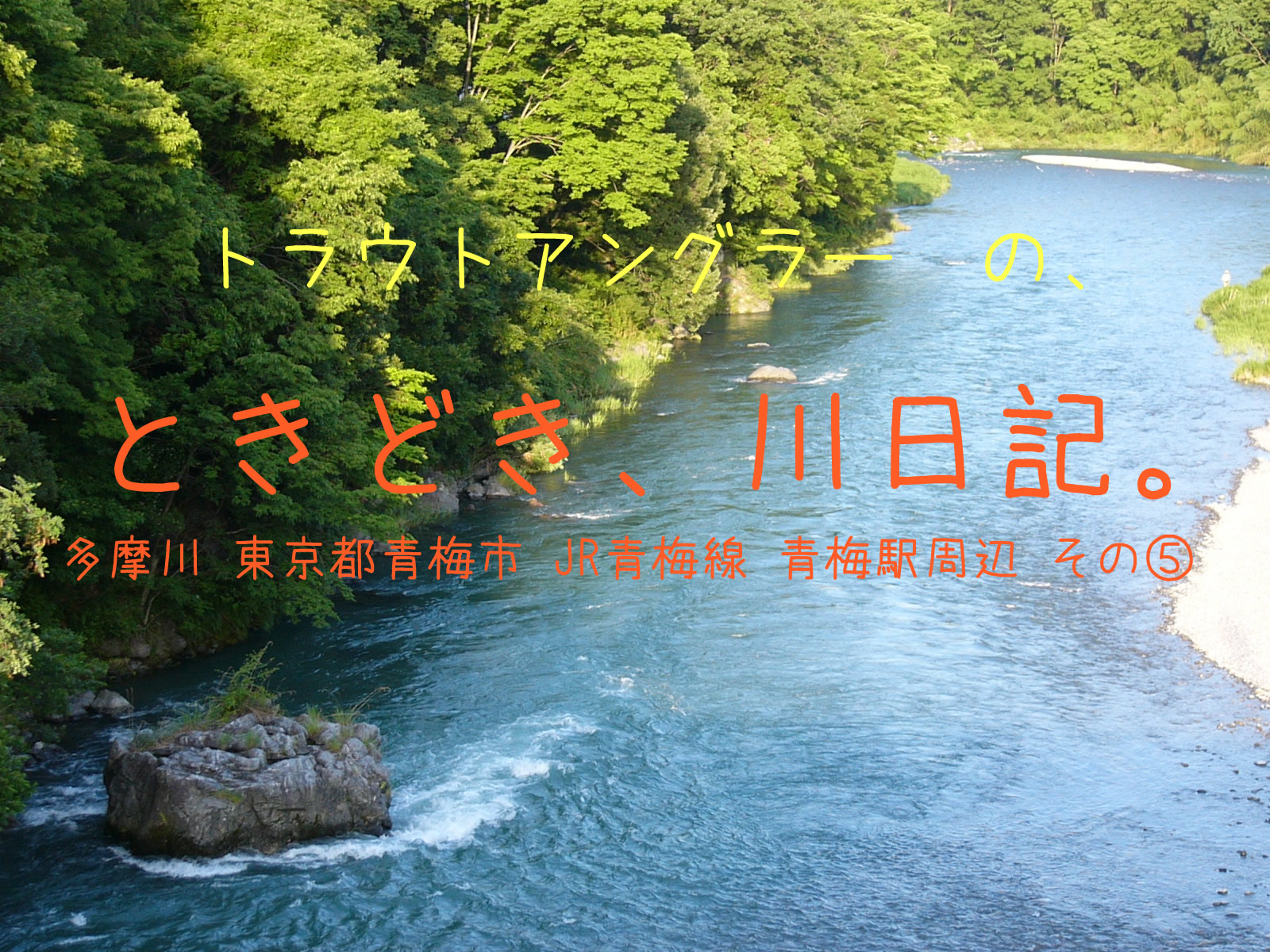 トラウトアングラーの、ときどき、川日記。多摩川　東京都 青梅市　JR青梅駅周辺　その⑤　万年橋周辺のポイントと、市内釣具店の情報です。