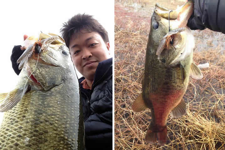 琵琶湖２０１５春のバス釣り