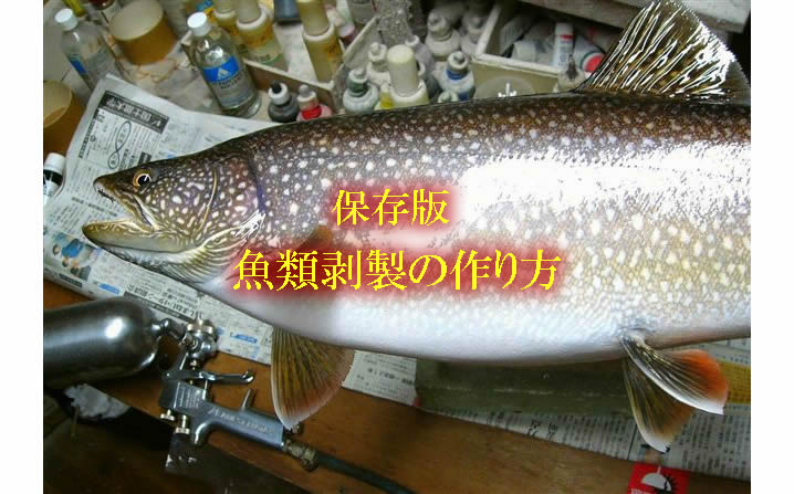 魚類剥製の作り方