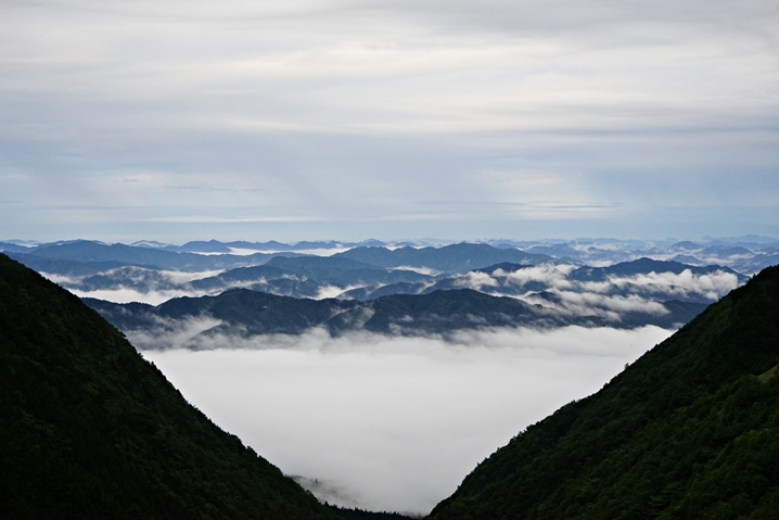 木曽川水系、林道より雲海を望む