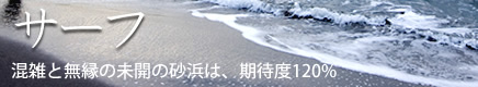 [サーフ]混雑と無縁の未開の砂浜は、期待度120%