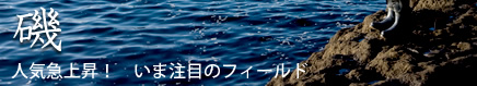 [磯]人気急上昇！　いま注目のフィールド