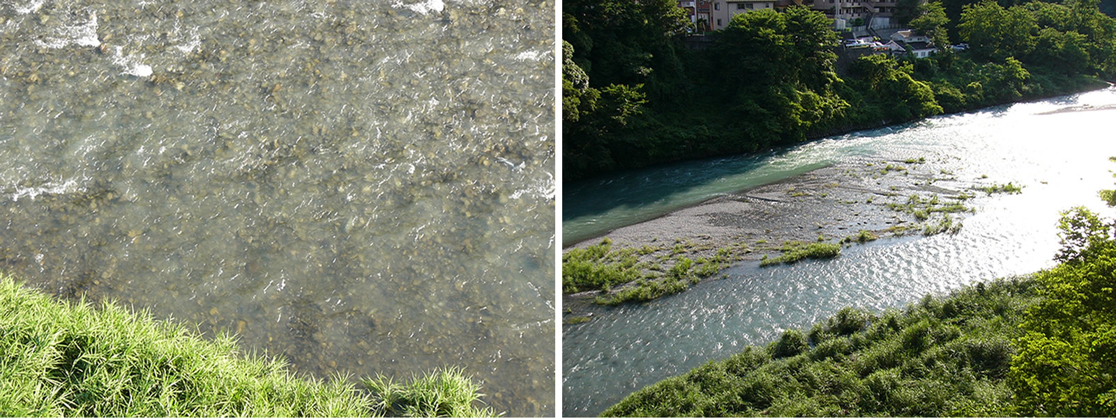 多摩川は青梅市内調布橋の上流側です。濁りは少しキツめ。