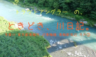 トラウトアングラーの、ときどき、川日記。多摩川 東京都青梅市 JR青梅線 青梅駅周辺 その③　調布橋周辺の様子です。