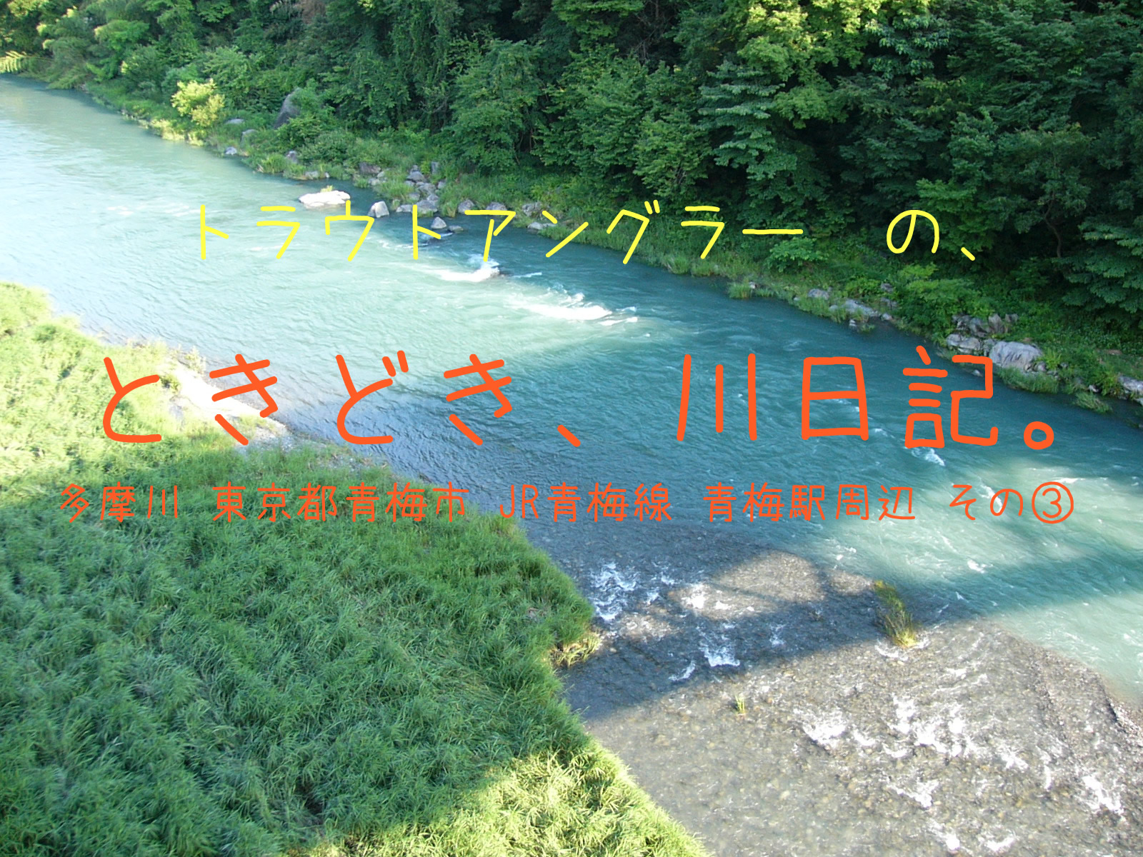 トラウトアングラーの、ときどき、川日記。多摩川 東京都青梅市 JR青梅線 青梅駅周辺 その③　調布橋周辺の様子です。