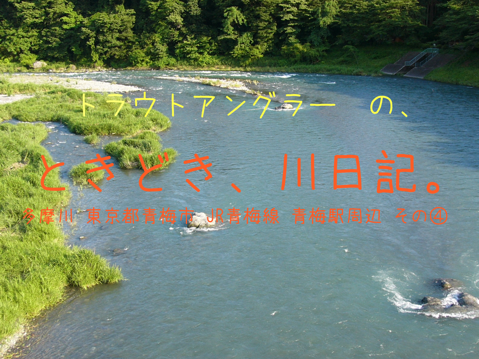 トラウトアングラーの、ときどき、川日記。【多摩川　東京都 青梅駅周辺 その④】　鮎美橋周辺の状況です。