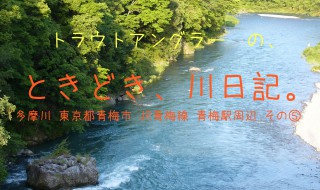 トラウトアングラーの、ときどき、川日記。多摩川　東京都 青梅市　JR青梅駅周辺　その⑤　万年橋周辺のポイントと、市内釣具店の情報です。