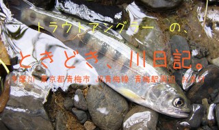 トラウトアングラーの、ときどき、川日記。【多摩川　東京都 青梅駅周辺 おまけ】今度は釣りをしてきました。