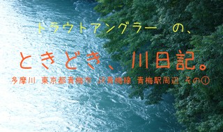 トラウトアングラーの、ときどき、川日記。　多摩川　東京都青梅市 ＪＲ青梅線 青梅駅周辺 その①