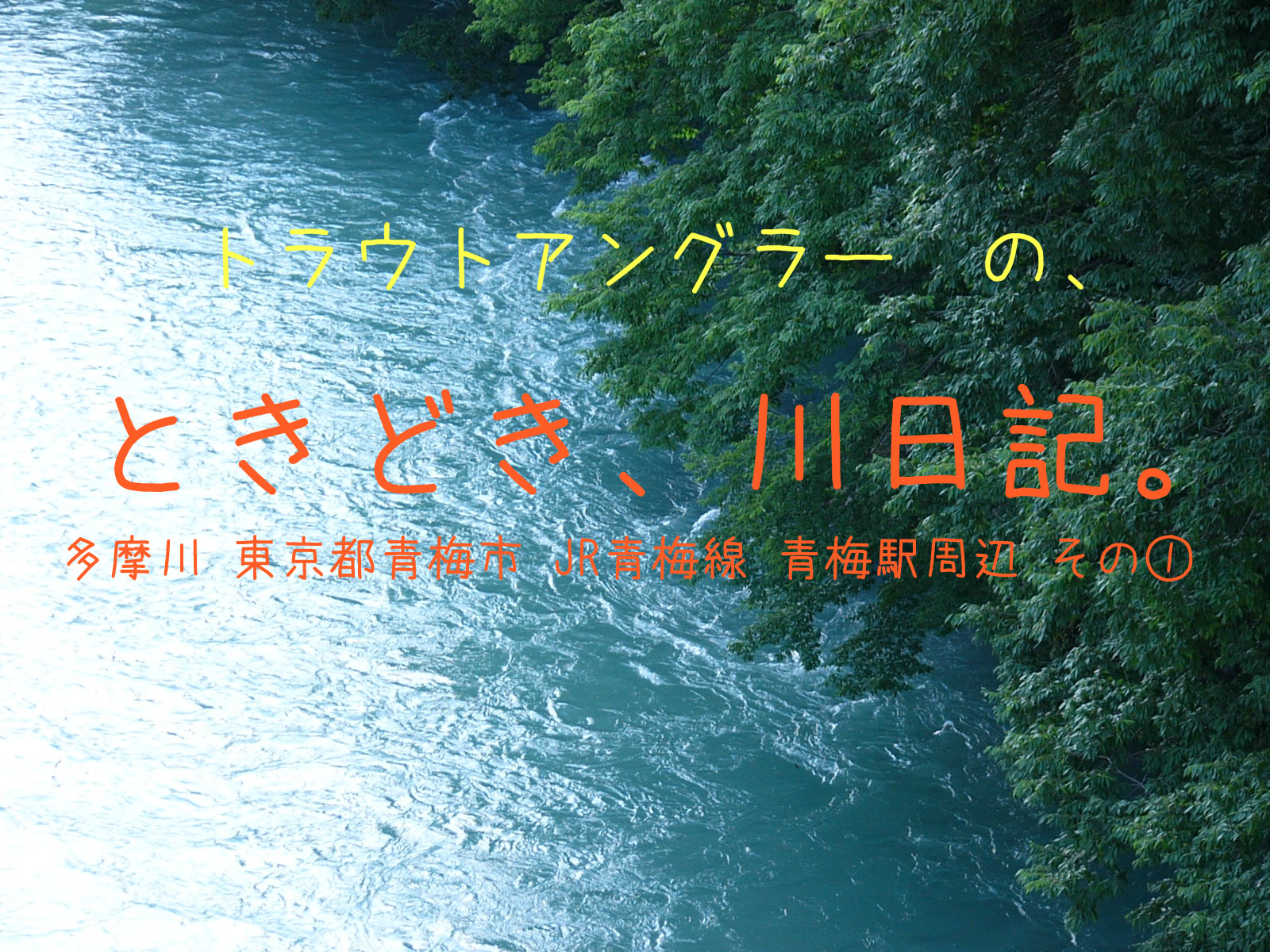 トラウトアングラーの、ときどき、川日記。　多摩川　東京都青梅市 ＪＲ青梅線 青梅駅周辺 その①