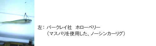 バークレイ社、ホローベリー