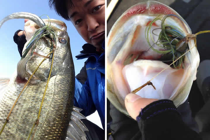 琵琶湖2015春のバス釣り