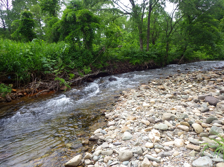 東北の渓流