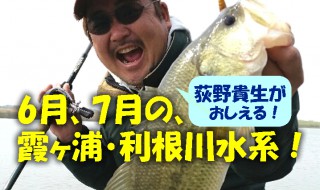 6月、7月の霞ヶ浦・利根川水系のバス釣り