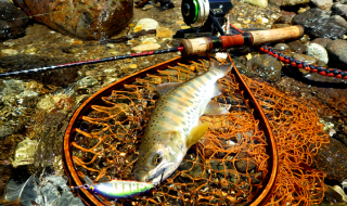 インザフィールド渓流のルアー釣り