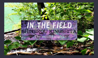 in_the_field-second