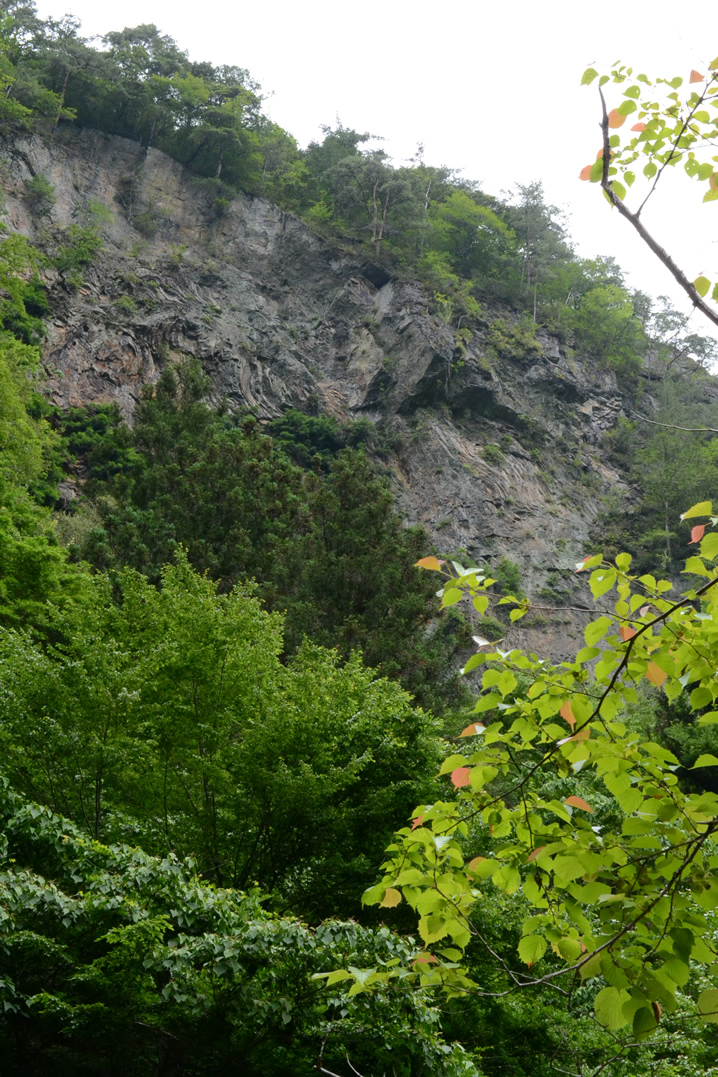 静岡県天竜川水系の渓谷