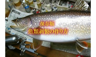 魚類剥製の作り方