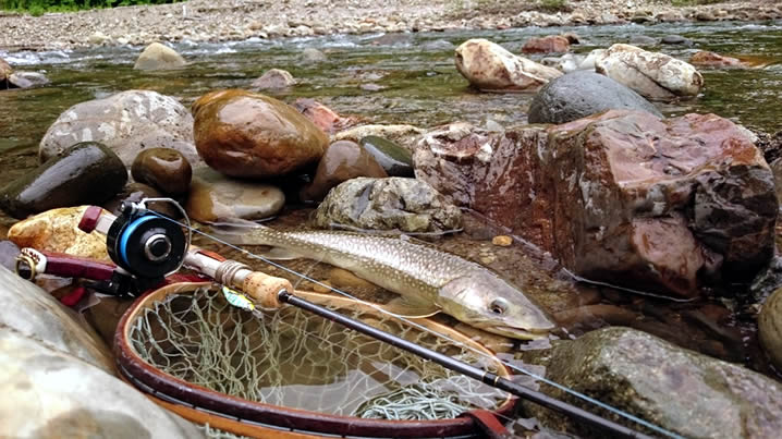 渓流ルアーでイワナ釣り