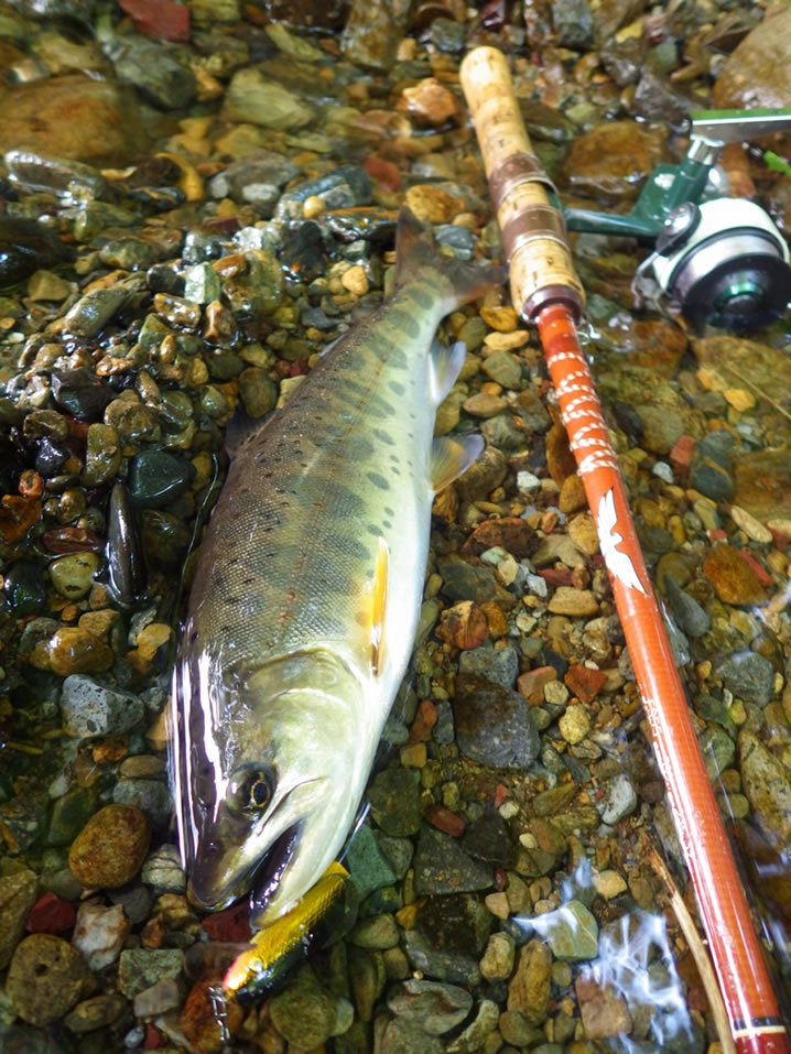 アメリカンタックルでヤマメ釣り