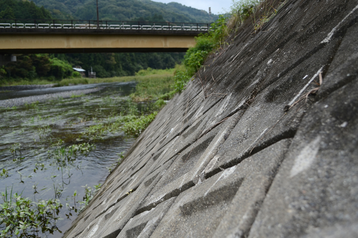 増水の川