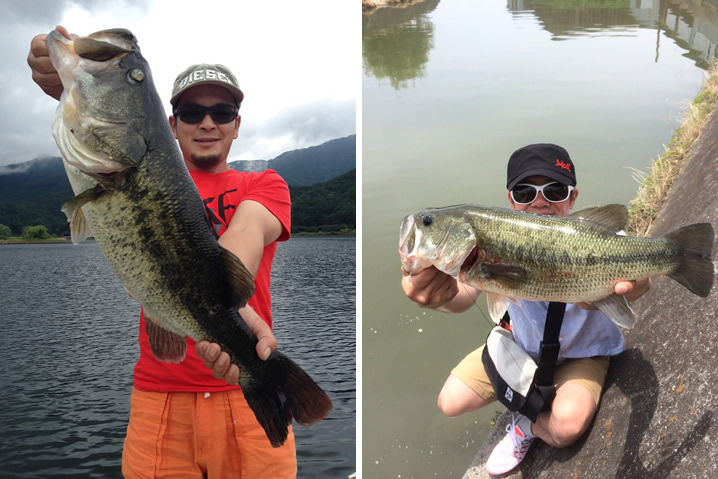 バス釣り大会の大物賞と数釣り賞