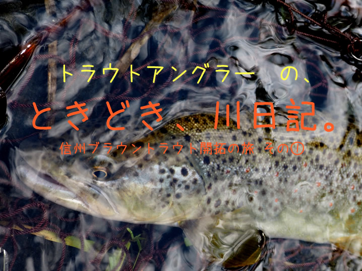 トラウトアングラーの ときどき 川日記 信州ブラウントラウト開拓の旅 その ルアーライフマガジン