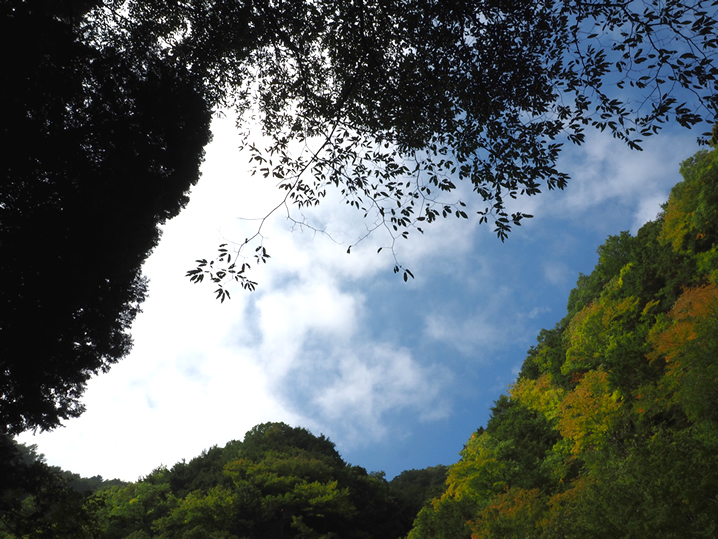 釣りと空