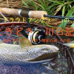 長野県河川のブラウントラウトフィッシング