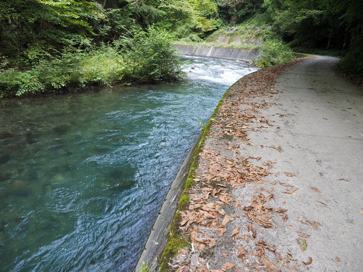 登山道の先にイワナの宝庫はあるか