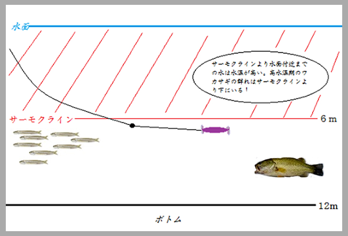 ステルスペッパーでサーモクラインの下を探る。