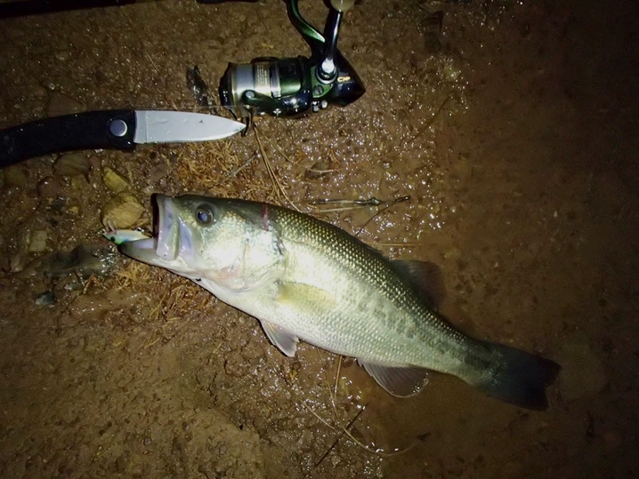 食す魚はナイフでシメる