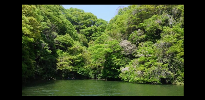 春のバスレイク相模湖