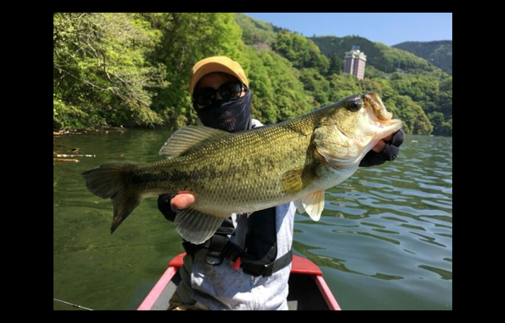 春のメジャーレイク相模湖攻略