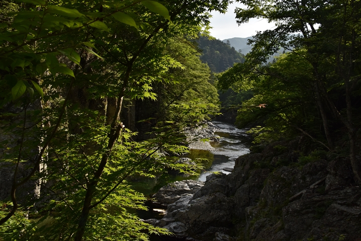 飛騨川水系の釣り場