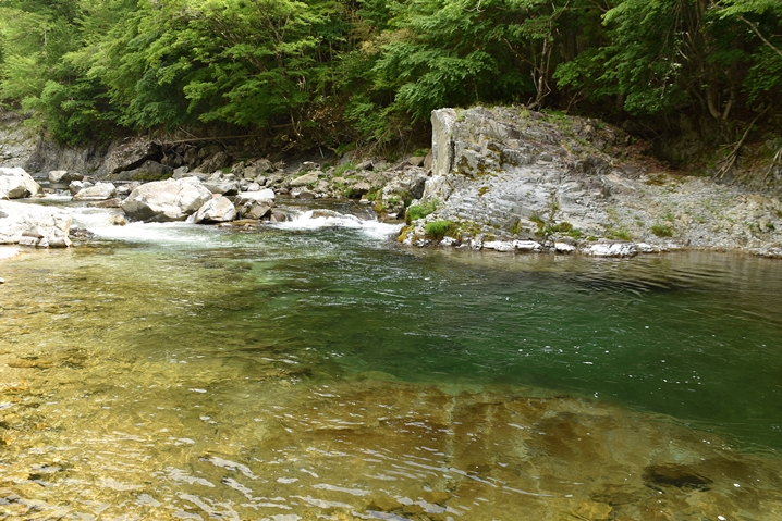 飛騨川水系、イワナとヤマメの渓流