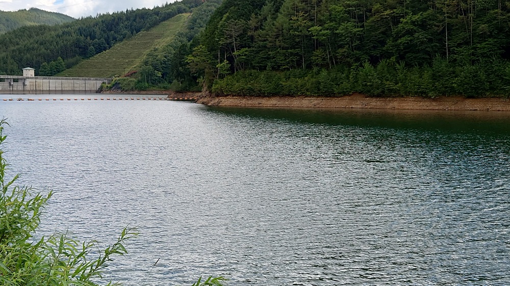 琴川ダム（乙女湖）
