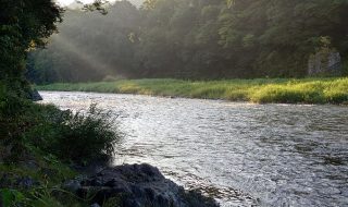 トラウトアングラーの、ときどき、川日記