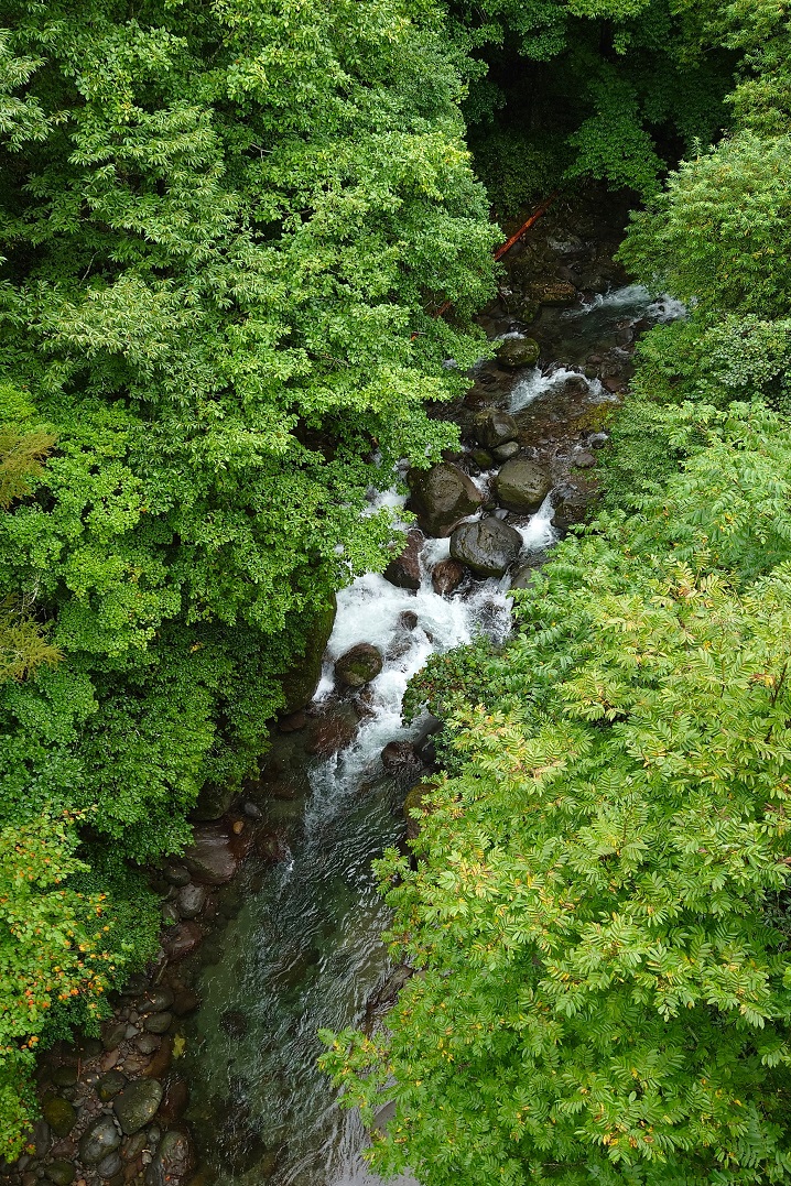 岐阜県の渓流