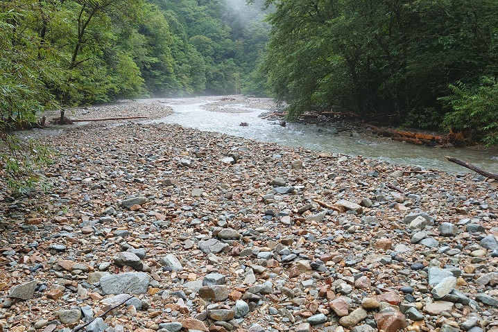 イワナの川