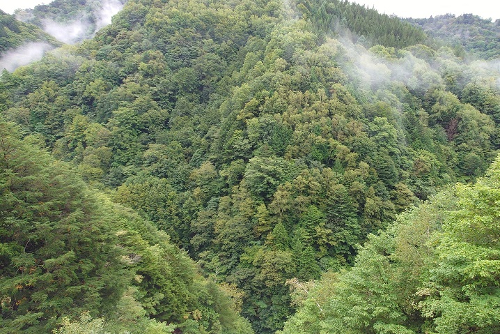 野麦峠